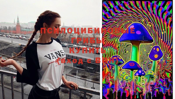 прущая мука Абаза