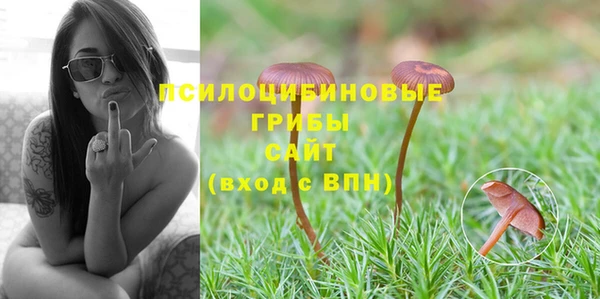 хмурый Абдулино