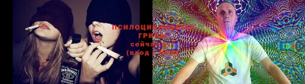 хмурый Абдулино